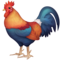 Kohout Kohout