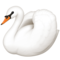 Labuť Labuť