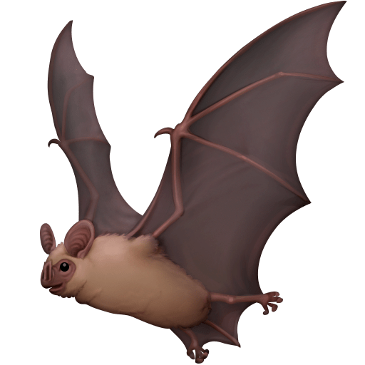 Morcego