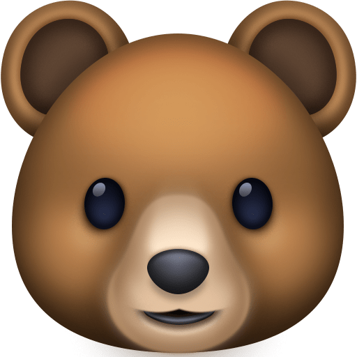 Rosto De Urso