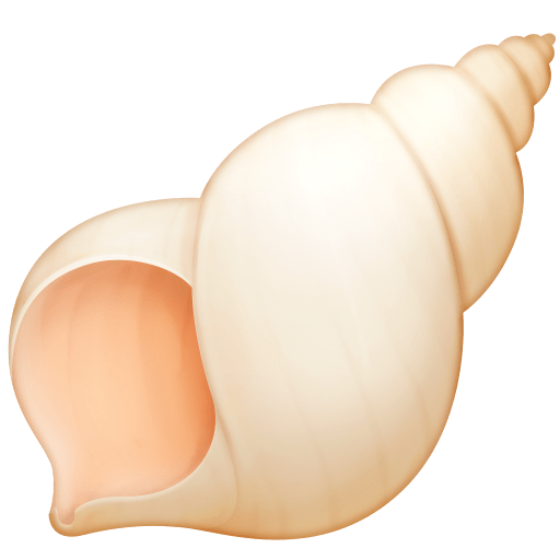 Concha Espiral