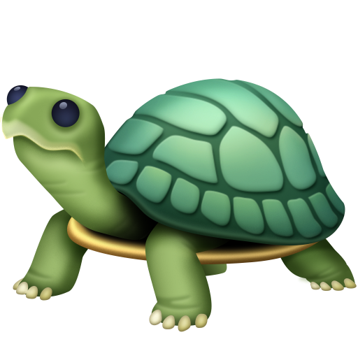 Tartaruga
