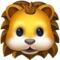 Rosto De Leão