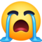 Rosto Chorando Aos Berros