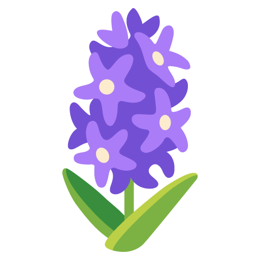 Hyacinth
