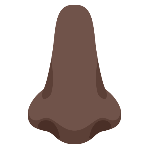 Nose: Dark Skin Tone