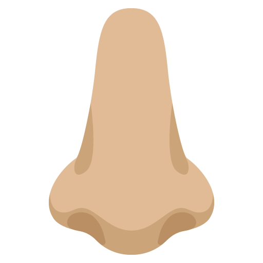 Nose: Medium-Light Skin Tone