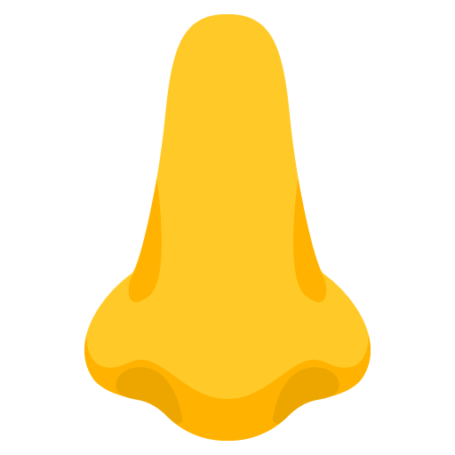 Nose