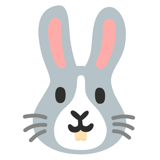 Rabbit Face