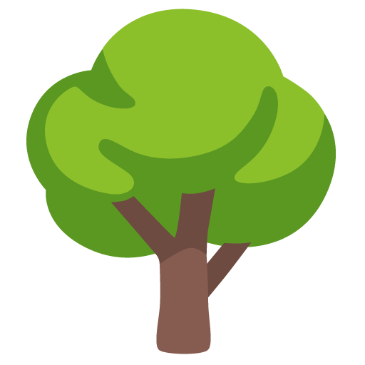 Deciduous Tree