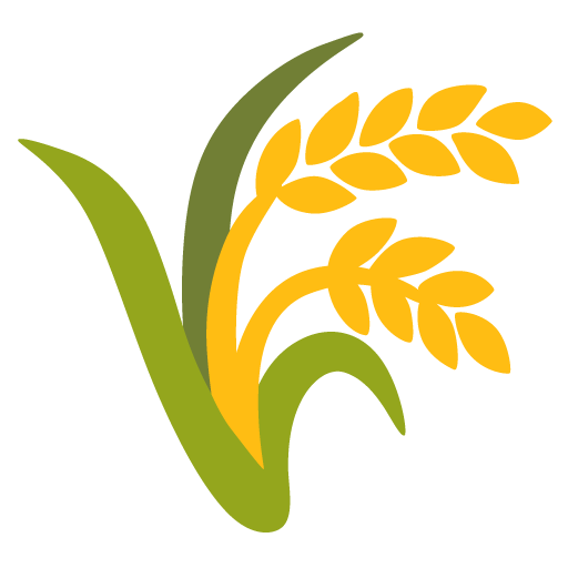 Sheaf of Rice