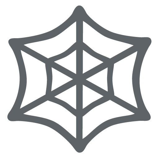 Spider Web