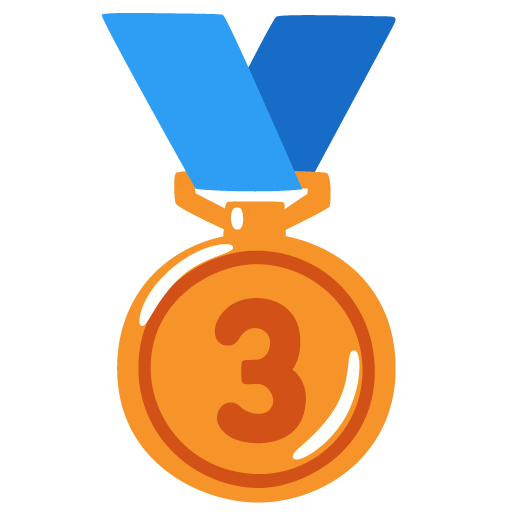 3rd Place Medal for Google 17.0