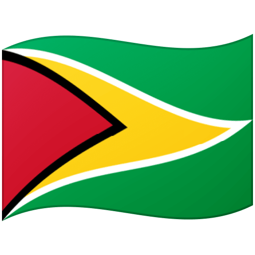 Bandera: Guyana para Google 17.0