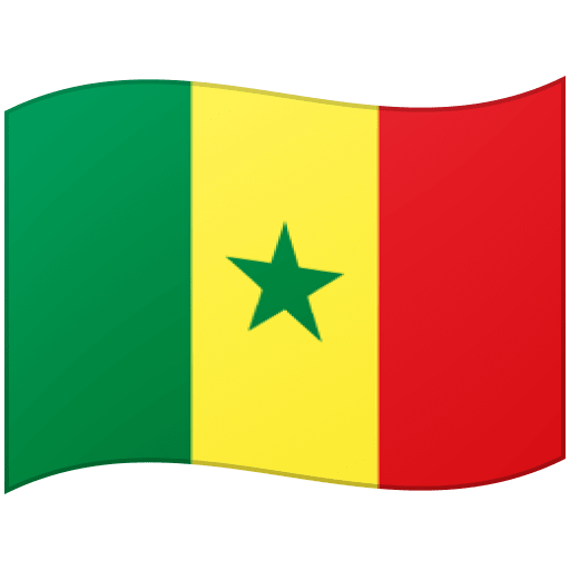 Flag: Senegal for Google 17.0