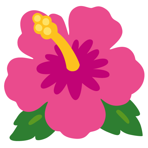 Hibiscus pour Google 17.0