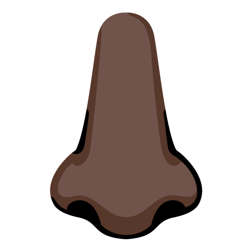 Nariz: Pele Escura para Google 17.0