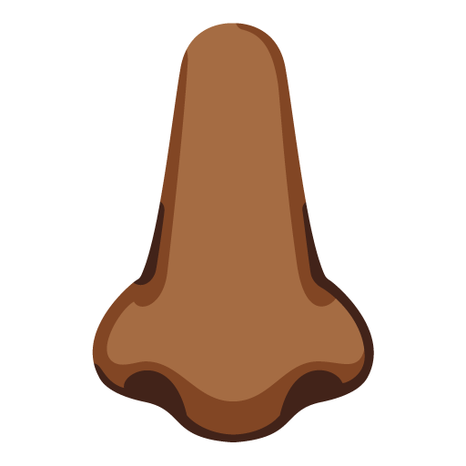 Nariz: Pele Morena Escura para Google 17.0