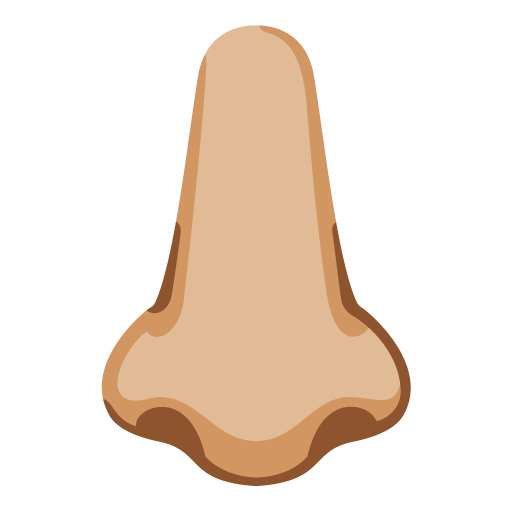 Nariz: Pele Morena Clara para Google 17.0