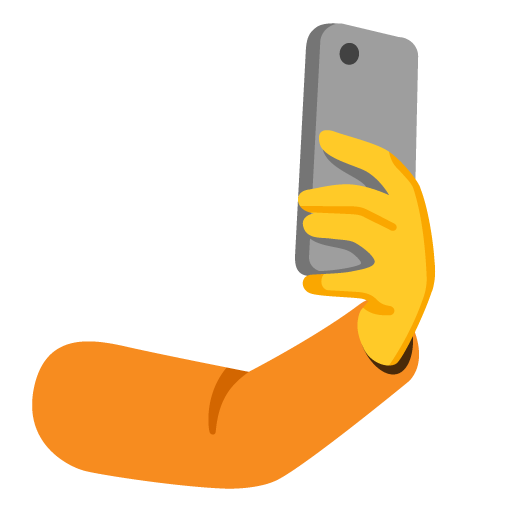 Selfie for Google 17.0