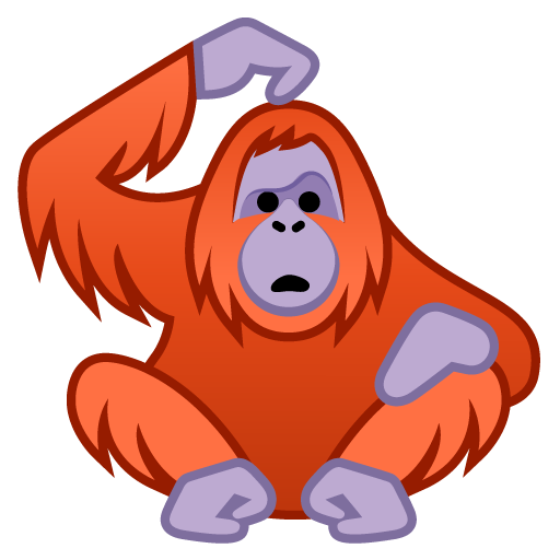 Orangutan Orangutan