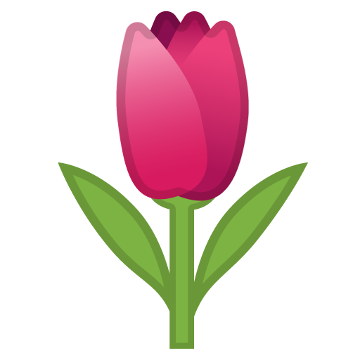 Tulipán Tulipán