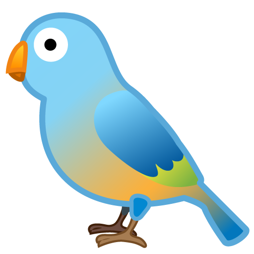 Uccello