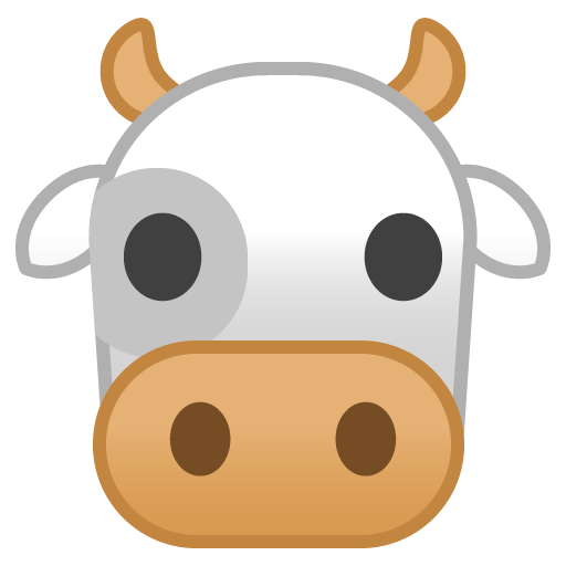 Muso Di Mucca