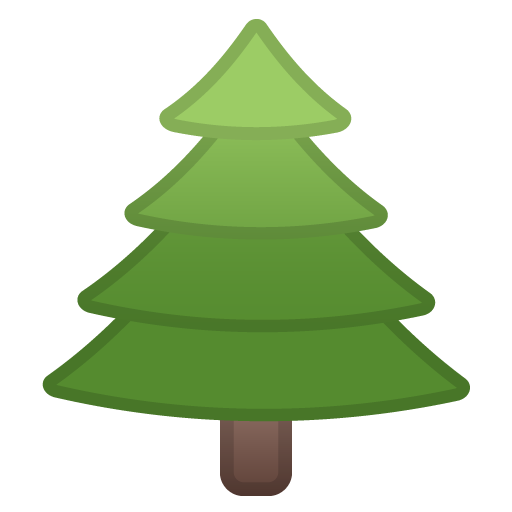 Albero Sempreverde