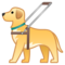 Cane Guida