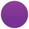 Cerchio Viola