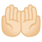 Mani Unite In Alto: Carnagione Chiara