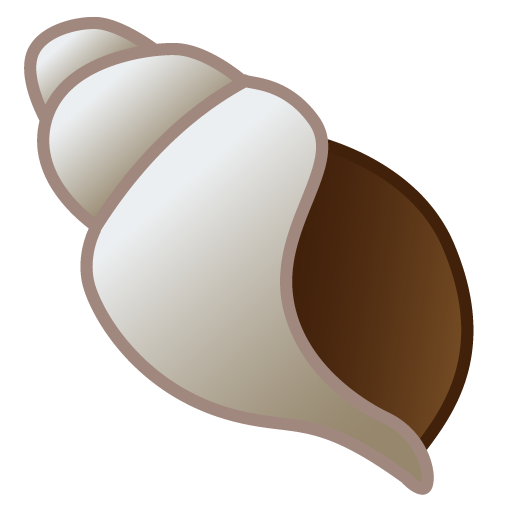 Conchiglia