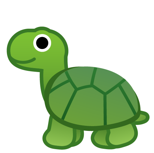 Tartaruga