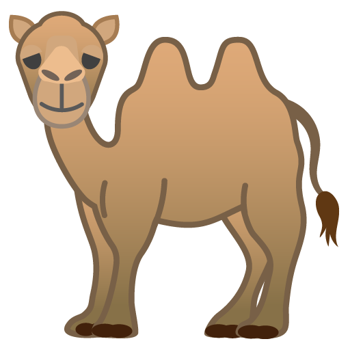 Cammello