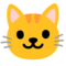 Muso Di Gatto