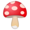 Fungo