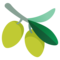 Oliva