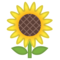 Girasole