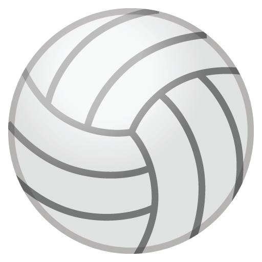 Palla Da Pallavolo