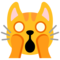 Gatto Esterrefatto