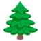 Albero Sempreverde