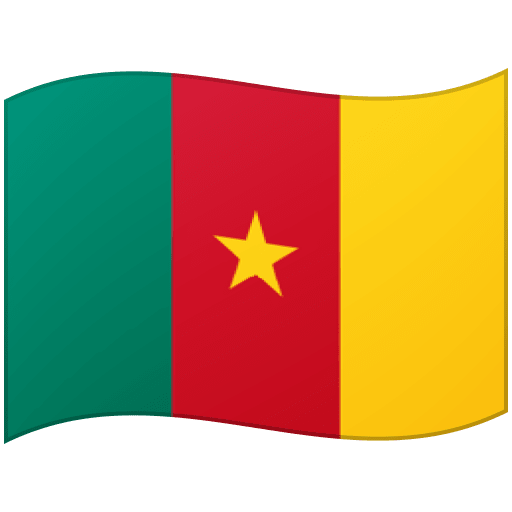 Bandiera: Camerun