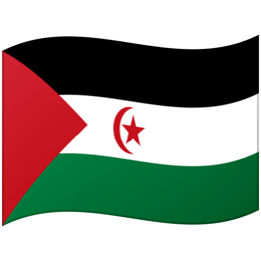 Bandiera: Sahara occidentale
