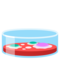Piastra Di Petri