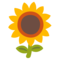 Girasole
