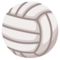 Palla Da Pallavolo