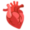Organo Del Cuore