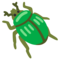 Coleottero