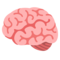 Cervello